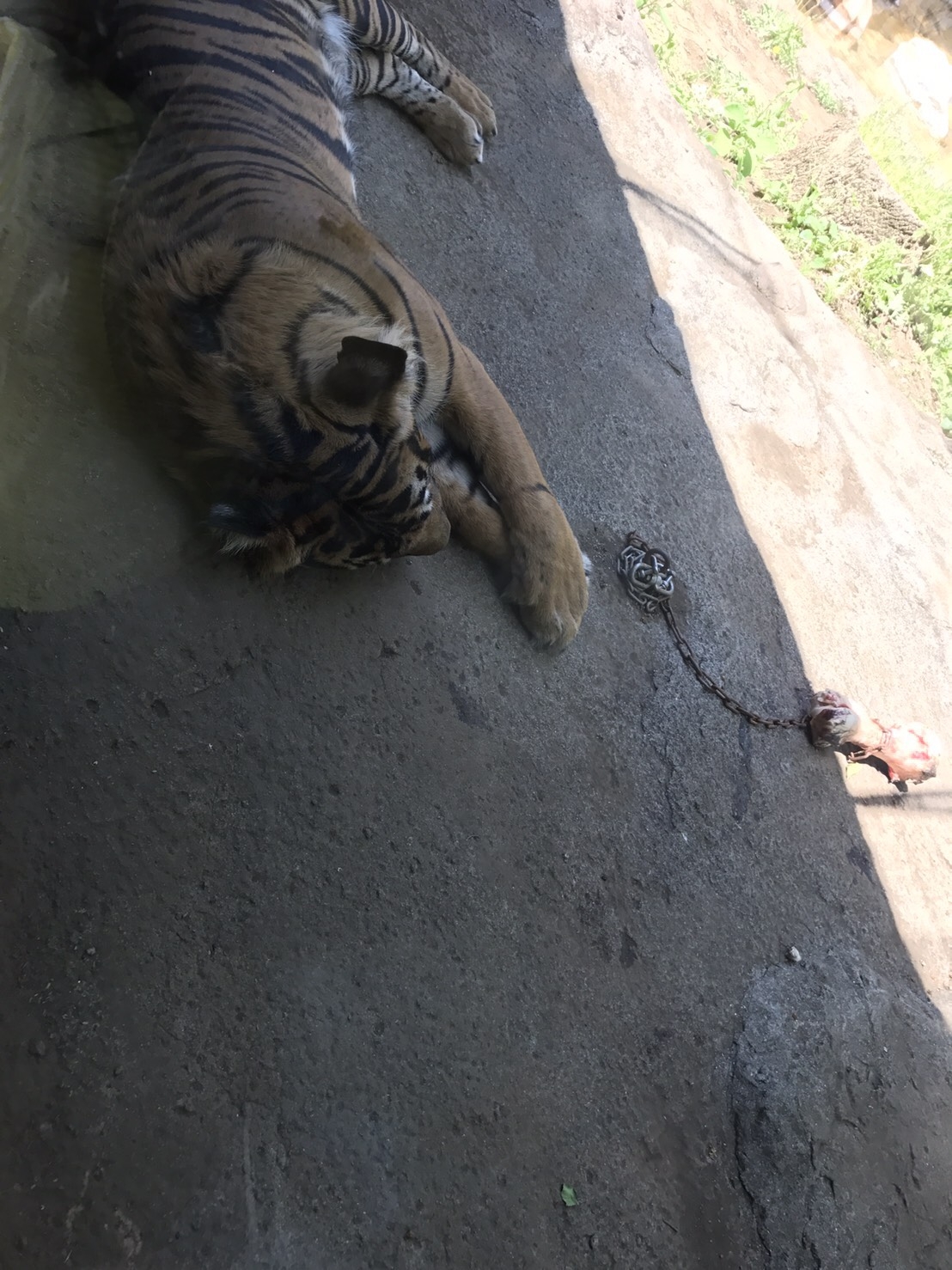 上野動物園